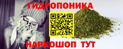 ALPHA PVP Малгобек